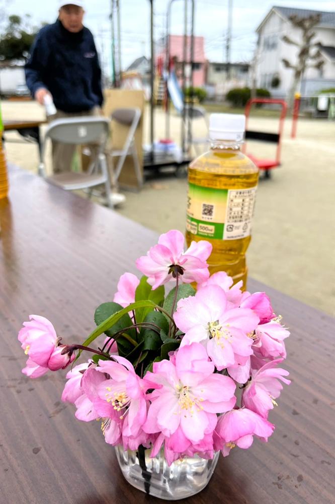 2026-04-01 寿会お花見会9